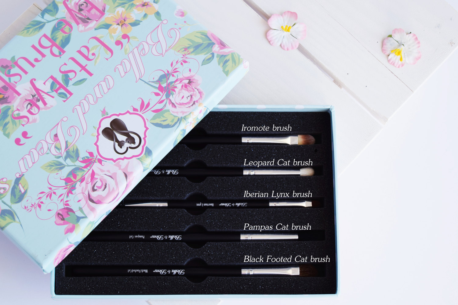 bella_and_bears_cats_eyes_eye_brush_set_zalabell_beauty_review_2