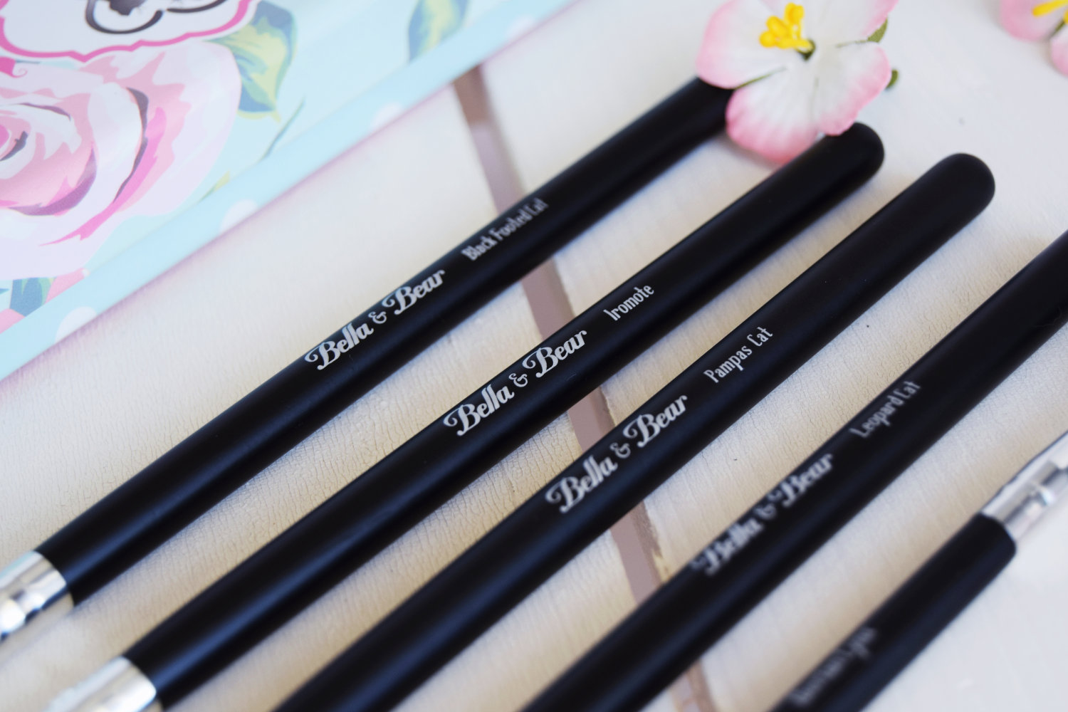 bella_and_bears_cats_eyes_eye_brush_set_zalabell_beauty_review_4