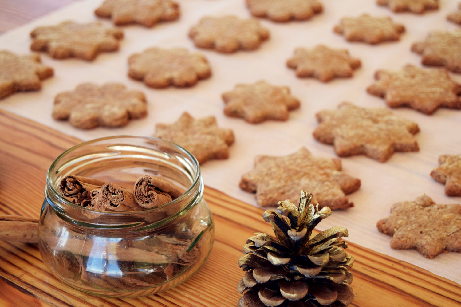 sugar_icing_decorating_cookies_gingerbread_christmas_1