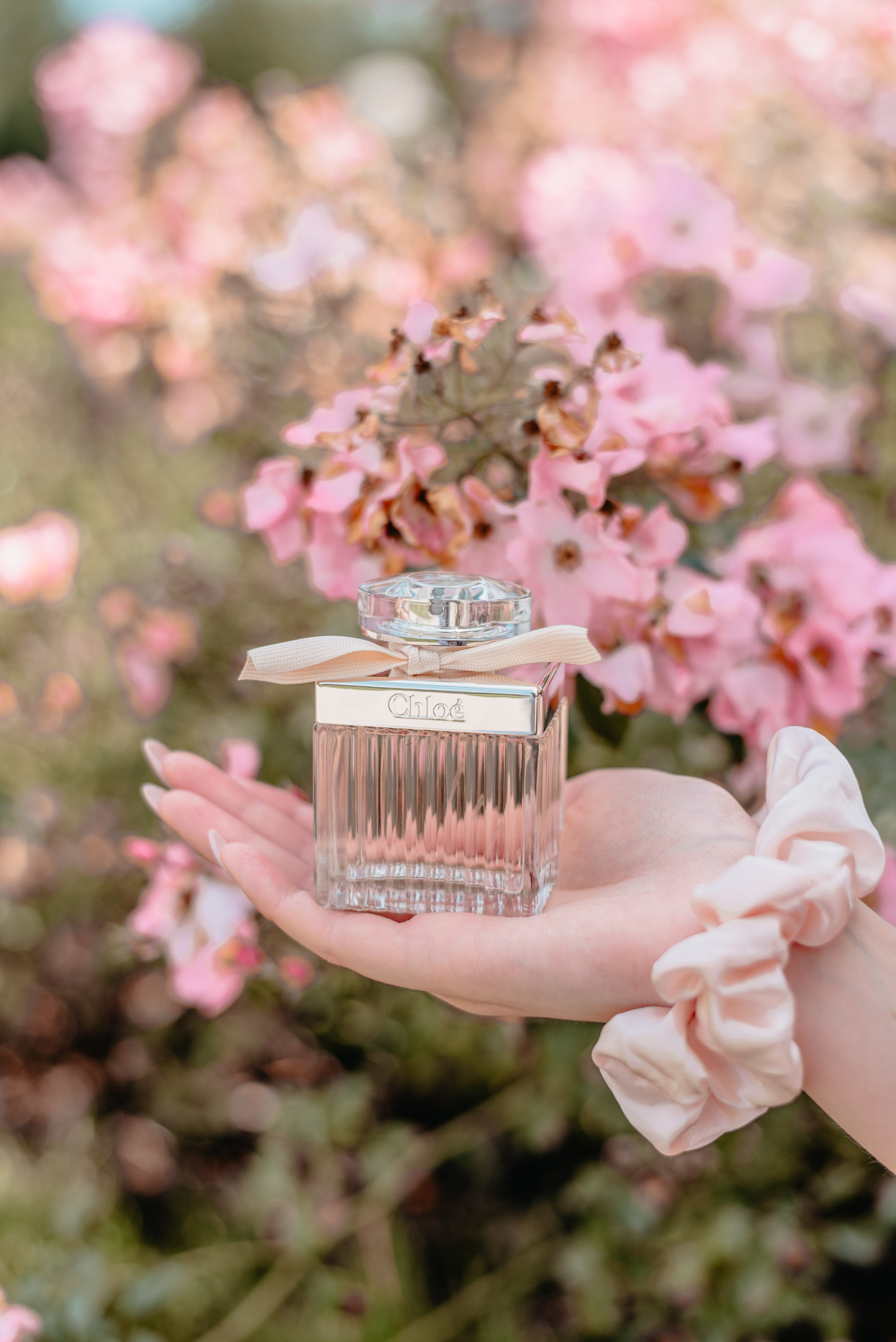 Chloé Fleur de Parfum Notino Zalabell