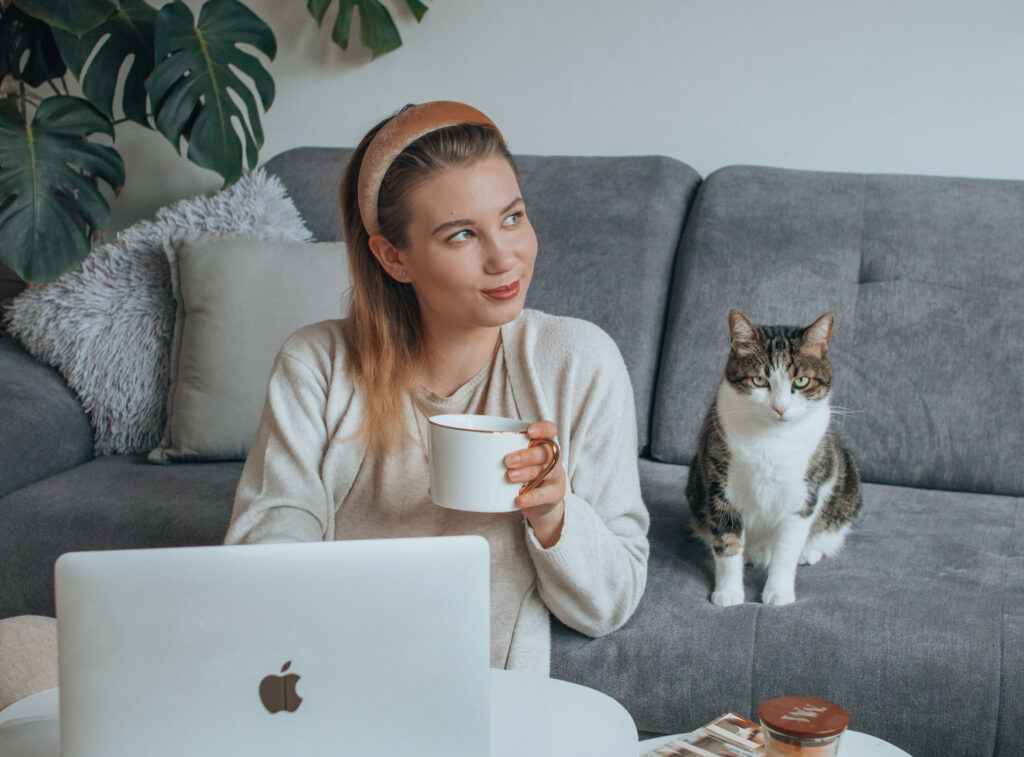 blog, macbook, cat, home office